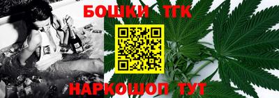 стаф Гай