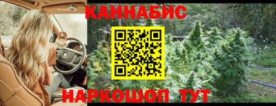 стаф Гай
