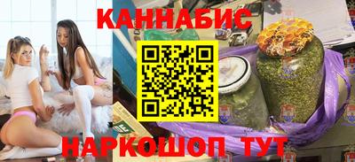 стаф Гай