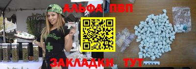 стаф Гай