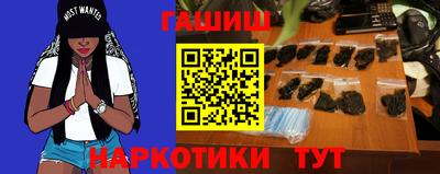 стаф Гай